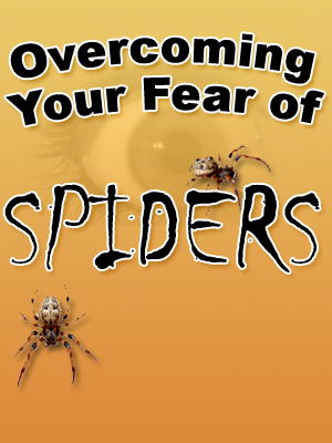 Overcoming Your Fear Of Spiders